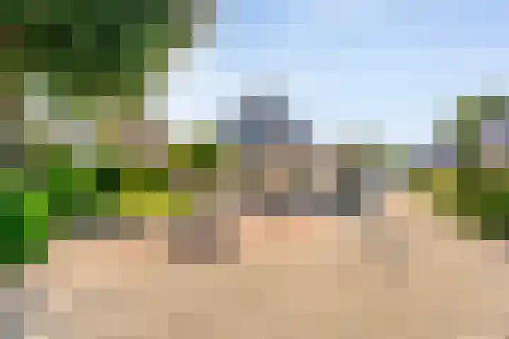 De Vlierbes 4 Dedemsvaart foto 2