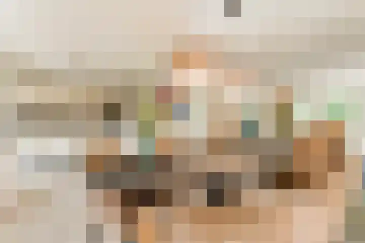 De Vlierbes 4 Dedemsvaart thumbnail 20