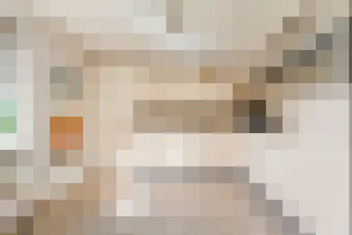 De Vlierbes 4 Dedemsvaart thumbnail 21
