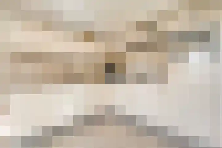 De Vlierbes 4 Dedemsvaart thumbnail 22