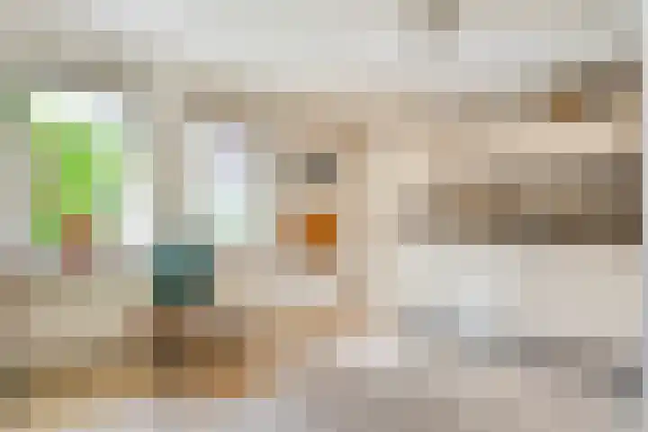 De Vlierbes 4 Dedemsvaart thumbnail 24