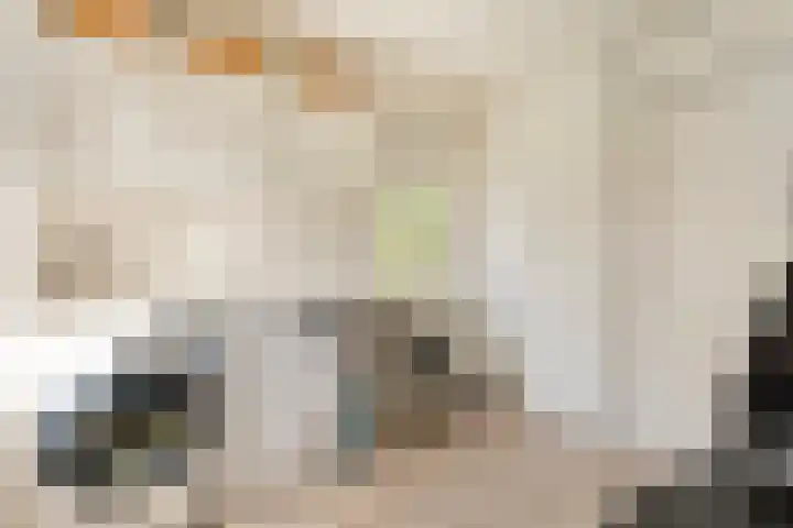 De Vlierbes 4 Dedemsvaart thumbnail 25