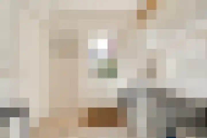 De Vlierbes 4 Dedemsvaart thumbnail 26