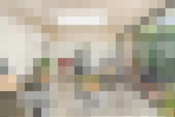 De Vlierbes 4 Dedemsvaart thumbnail 27