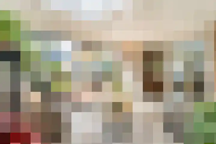 De Vlierbes 4 Dedemsvaart thumbnail 28