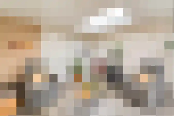 De Vlierbes 4 Dedemsvaart thumbnail 29