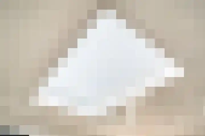 De Vlierbes 4 Dedemsvaart thumbnail 30