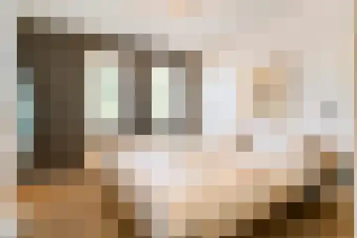 De Vlierbes 4 Dedemsvaart thumbnail 31