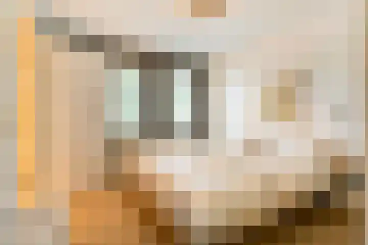 De Vlierbes 4 Dedemsvaart thumbnail 32
