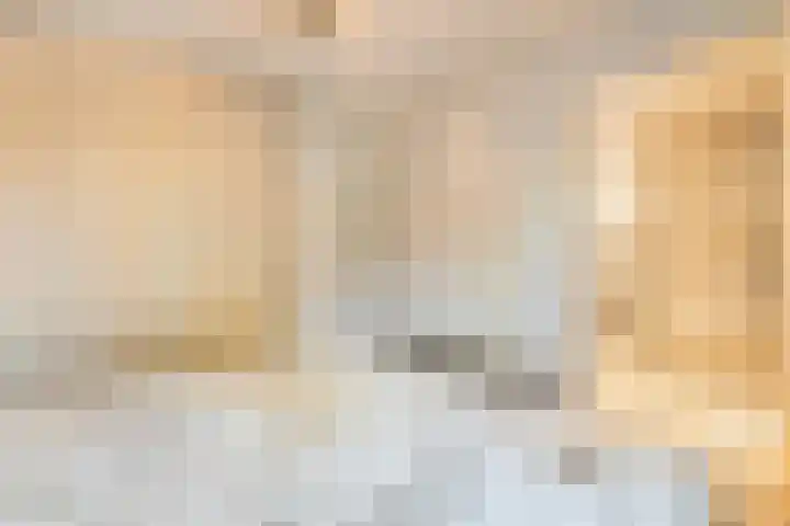 De Vlierbes 4 Dedemsvaart thumbnail 33