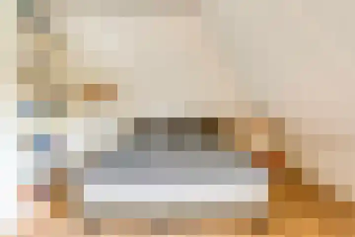 De Vlierbes 4 Dedemsvaart thumbnail 39