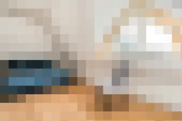 De Vlierbes 4 Dedemsvaart thumbnail 41