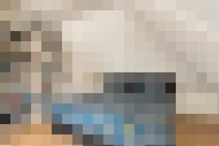 De Vlierbes 4 Dedemsvaart thumbnail 42