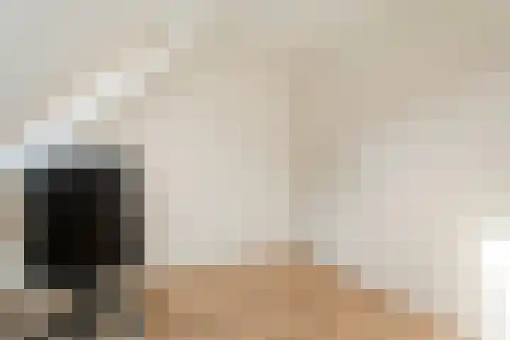 De Vlierbes 4 Dedemsvaart thumbnail 45