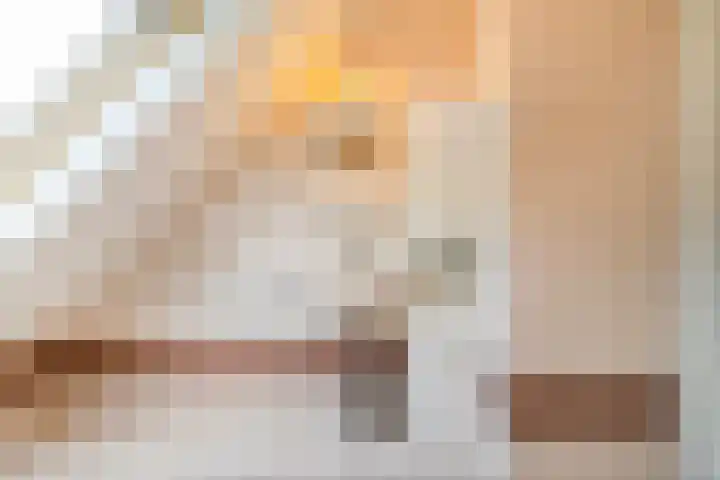 De Vlierbes 4 Dedemsvaart thumbnail 47