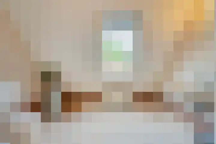 De Vlierbes 4 Dedemsvaart thumbnail 48