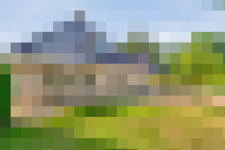 De Vlierbes 4 Dedemsvaart thumbnail 5