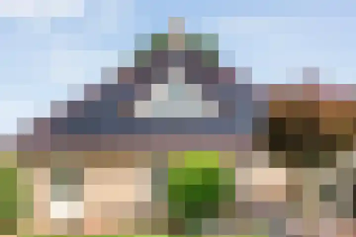 De Vlierbes 4 Dedemsvaart thumbnail 51