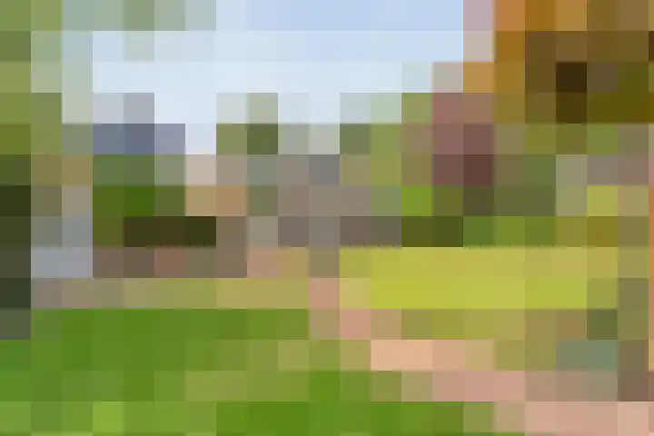 De Vlierbes 4 Dedemsvaart thumbnail 52
