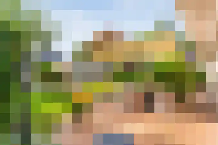 De Vlierbes 4 Dedemsvaart thumbnail 52