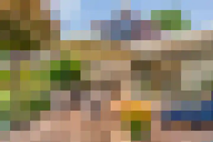 De Vlierbes 4 Dedemsvaart thumbnail 53