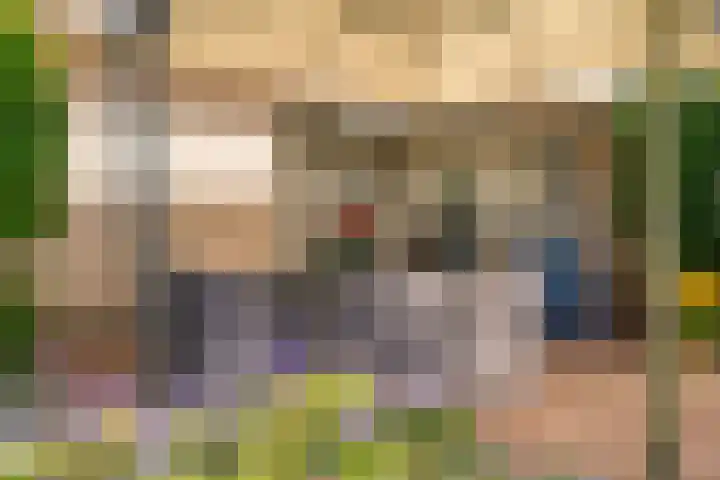 De Vlierbes 4 Dedemsvaart thumbnail 54