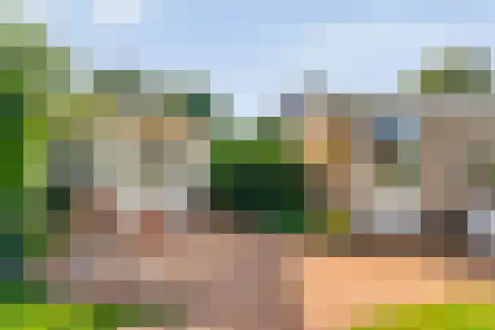 De Vlierbes 4 Dedemsvaart thumbnail 55
