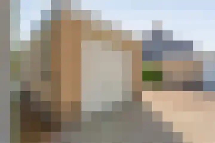 De Vlierbes 4 Dedemsvaart thumbnail 56