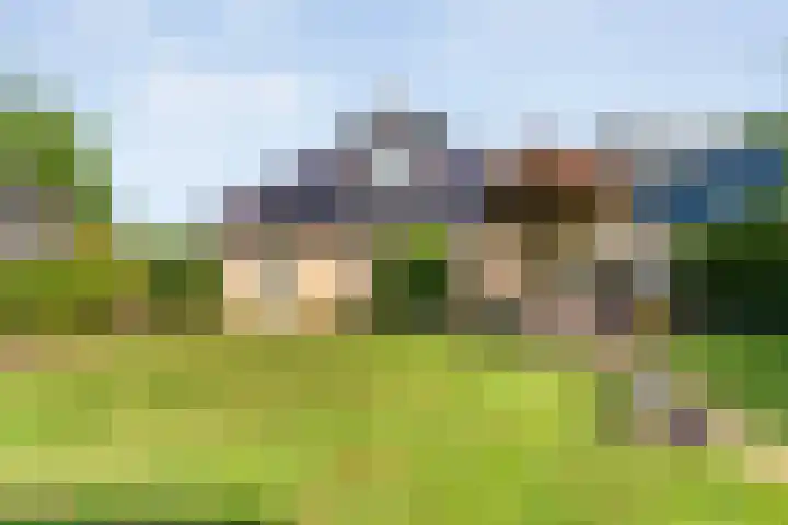 De Vlierbes 4 Dedemsvaart thumbnail 57