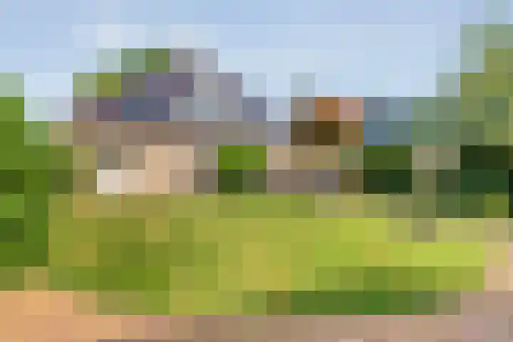 De Vlierbes 4 Dedemsvaart thumbnail 58