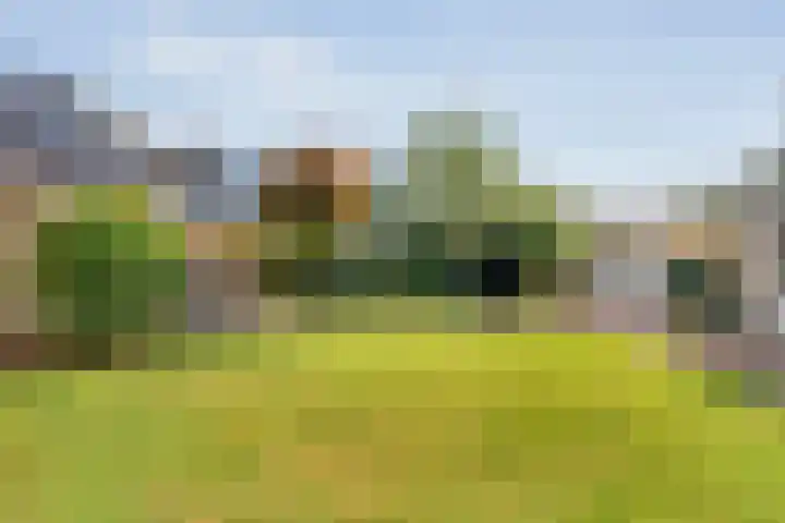 De Vlierbes 4 Dedemsvaart thumbnail 59