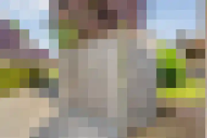 De Vlierbes 4 Dedemsvaart thumbnail 60