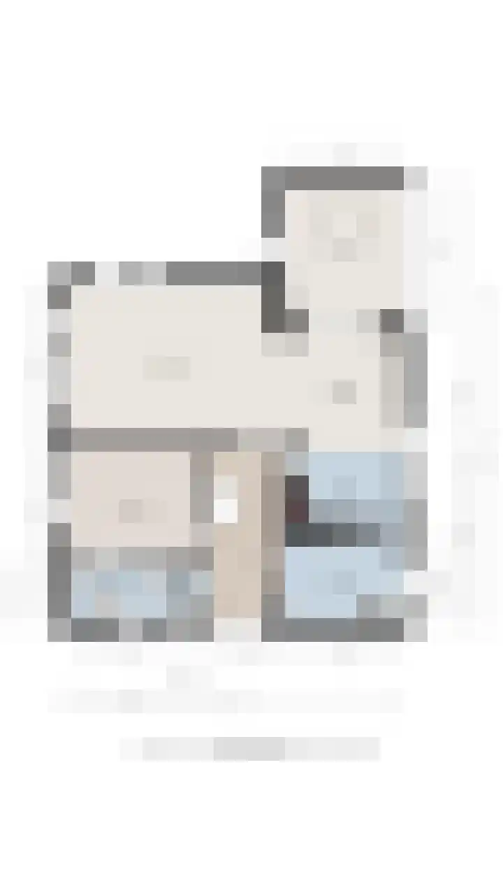 De Vlierbes 4 Dedemsvaart thumbnail 61
