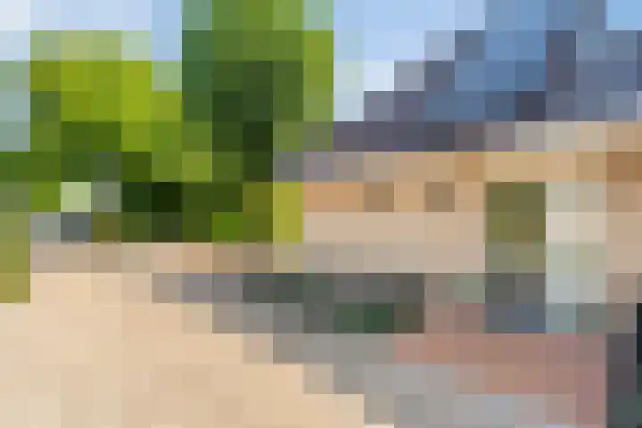 De Vlierbes 4 Dedemsvaart thumbnail 7