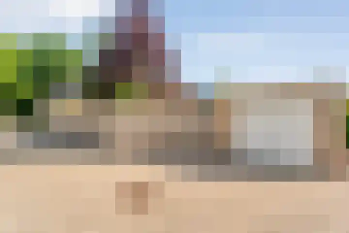 De Vlierbes 4 Dedemsvaart thumbnail 8