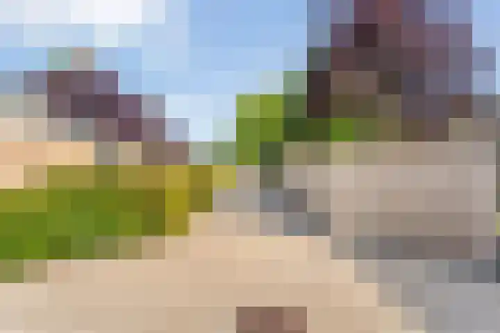 De Vlierbes 4 Dedemsvaart thumbnail 9