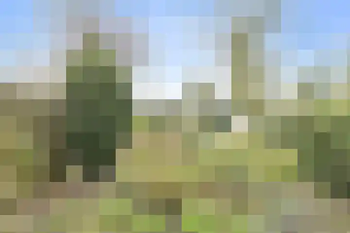De Vliert 5 Dorst thumbnail 44
