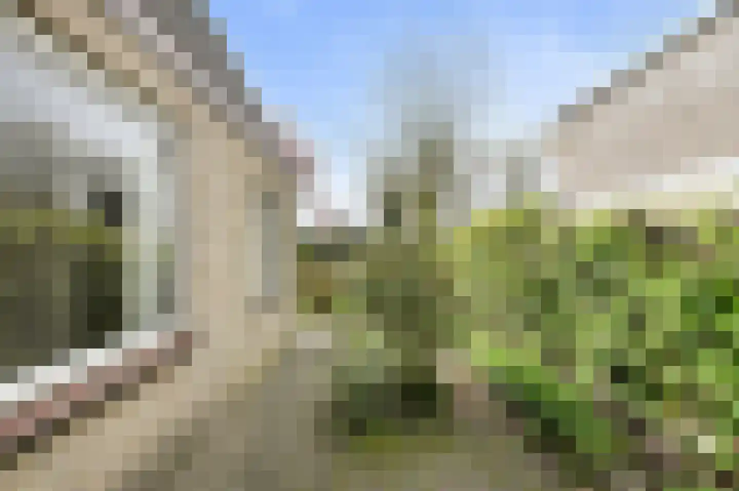 De Vliert 5 Dorst thumbnail 46