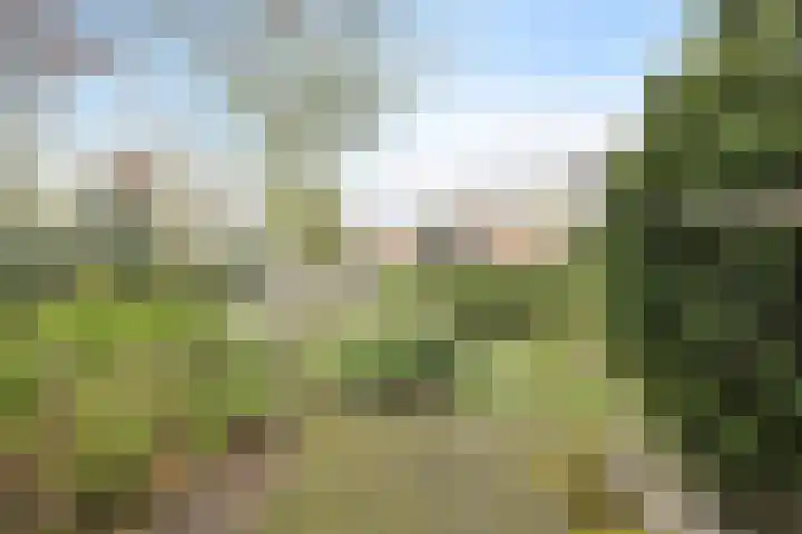 De Vliert 5 Dorst thumbnail 49