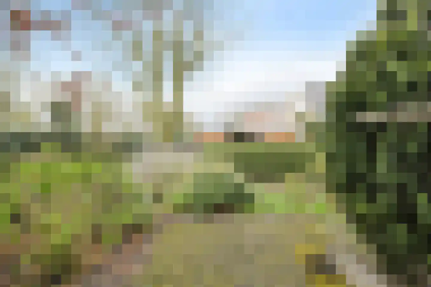 De Vliert 5 Dorst thumbnail 49
