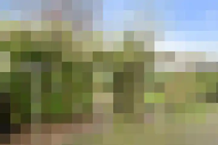 De Vliert 5 Dorst thumbnail 50