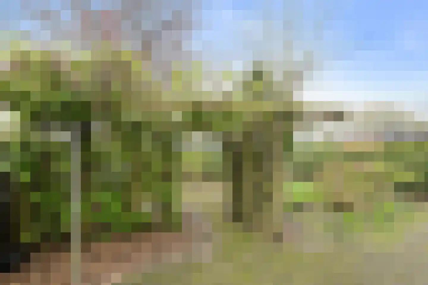 De Vliert 5 Dorst thumbnail 50