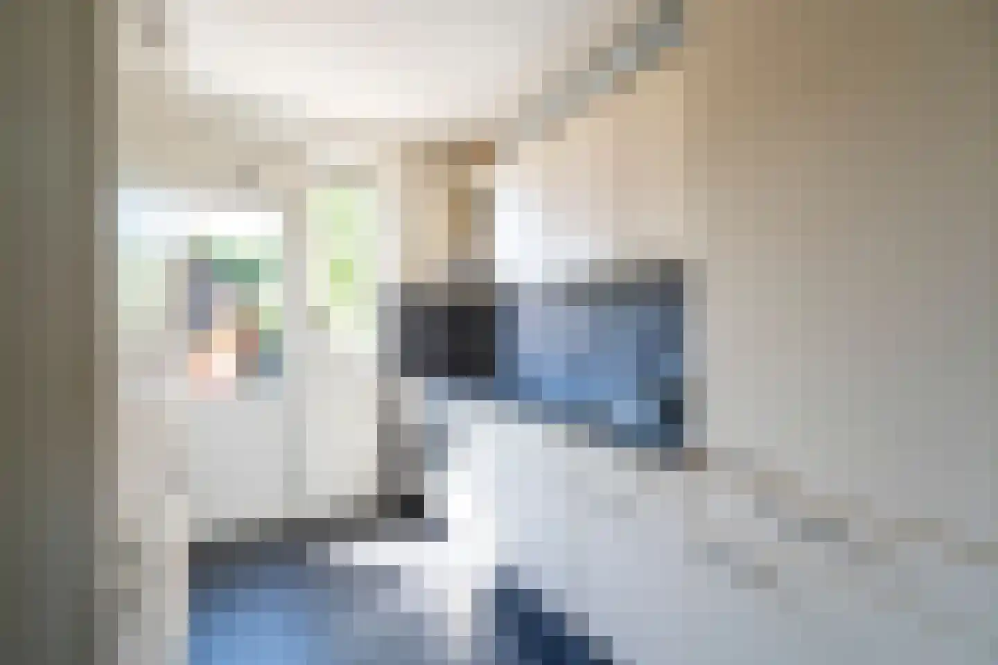 De Vliet 13 Vuren thumbnail 11