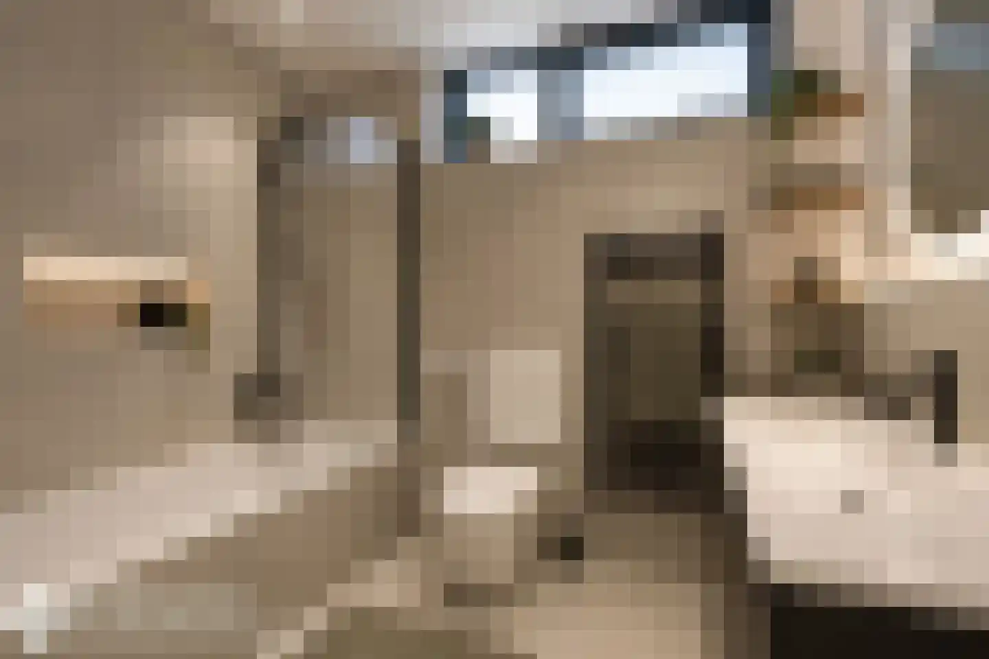 De Vliet 13 Vuren thumbnail 20