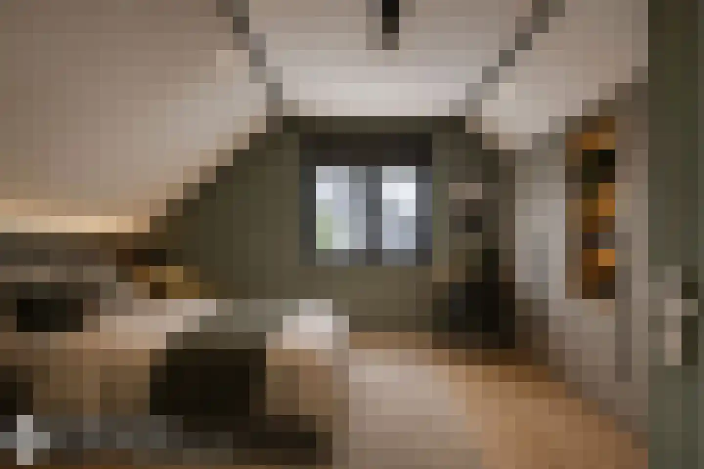 De Vliet 13 Vuren thumbnail 24
