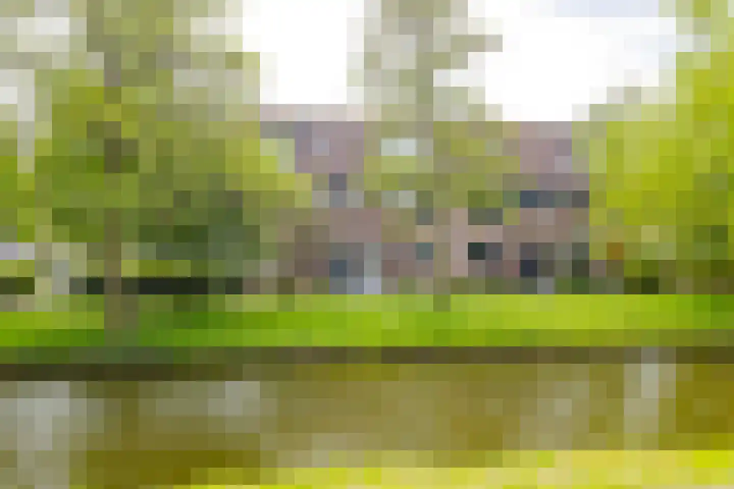 De Vliet 7 in Velserbroek