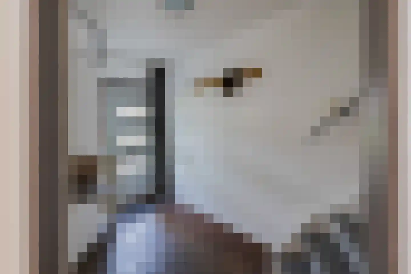 De Vliet 7 Velserbroek thumbnail 11