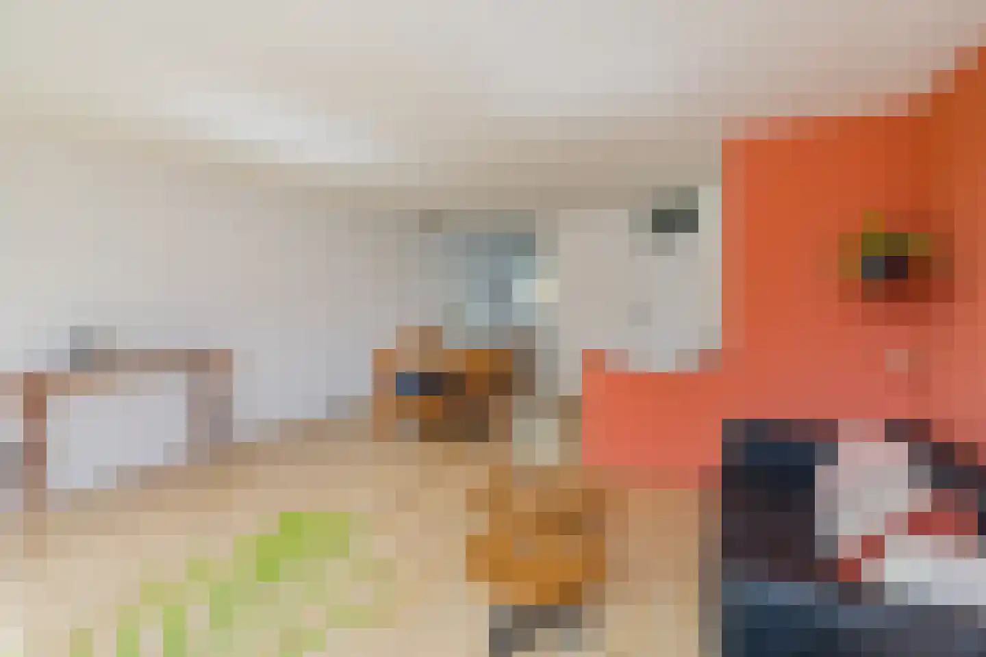 De Vliet 7 Velserbroek thumbnail 20