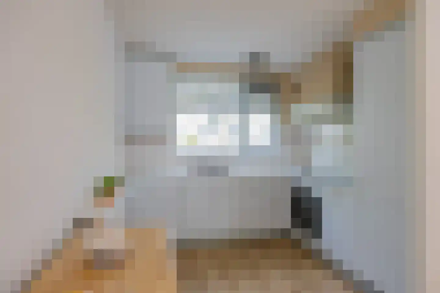 De Vliet 7 Velserbroek thumbnail 24