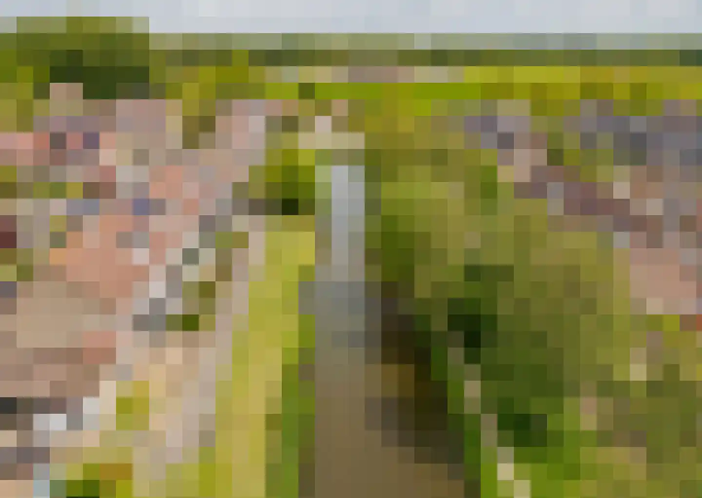 De Vliet 7 Velserbroek foto 3
